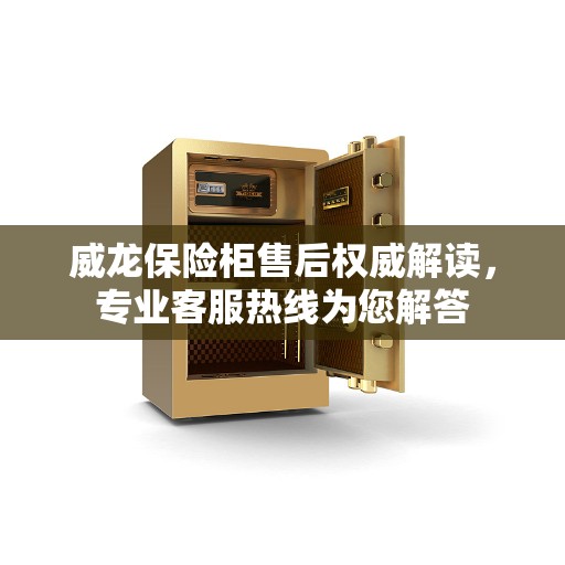 威龙保险柜售后权威解读，专业客服热线为您解答