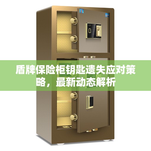 盾牌保险柜钥匙遗失应对策略，最新动态解析
