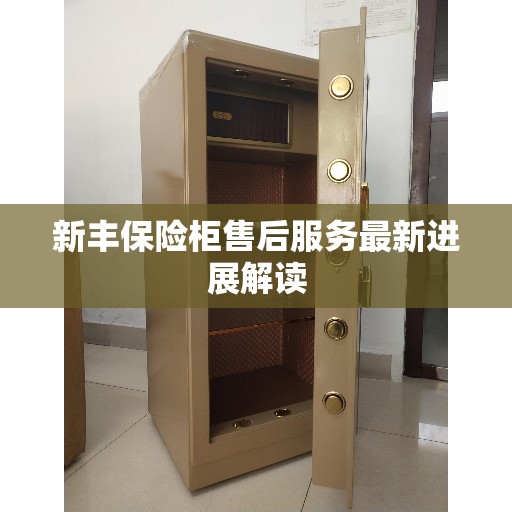 新丰保险柜售后服务最新进展解读