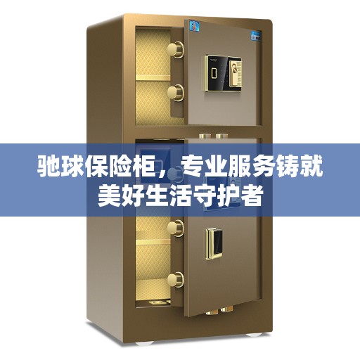 驰球保险柜，专业服务铸就美好生活守护者