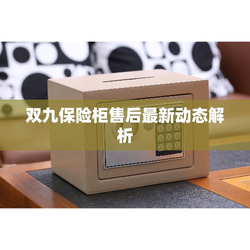 双九保险柜售后最新动态解析