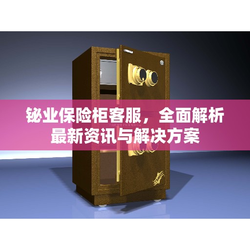 铋业保险柜客服，全面解析最新资讯与解决方案