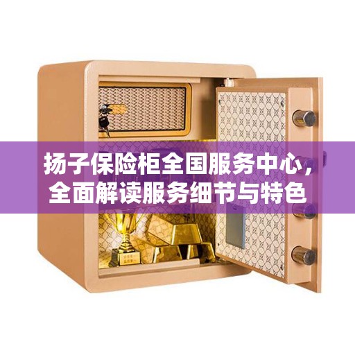 扬子保险柜全国服务中心，全面解读服务细节与特色