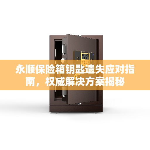 永顺保险箱钥匙遗失应对指南，权威解决方案揭秘