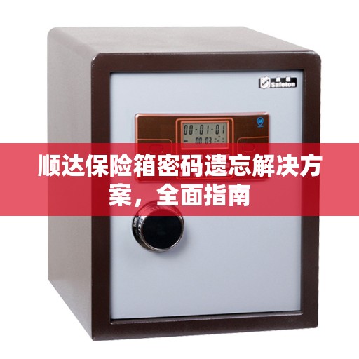 顺达保险箱密码遗忘解决方案，全面指南