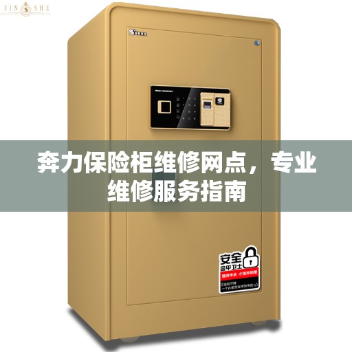 奔力保险柜维修网点，专业维修服务指南