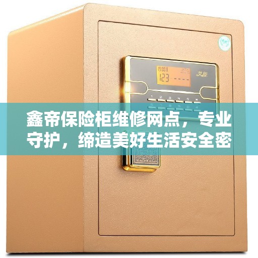 鑫帝保险柜维修网点，专业守护，缔造美好生活安全密钥