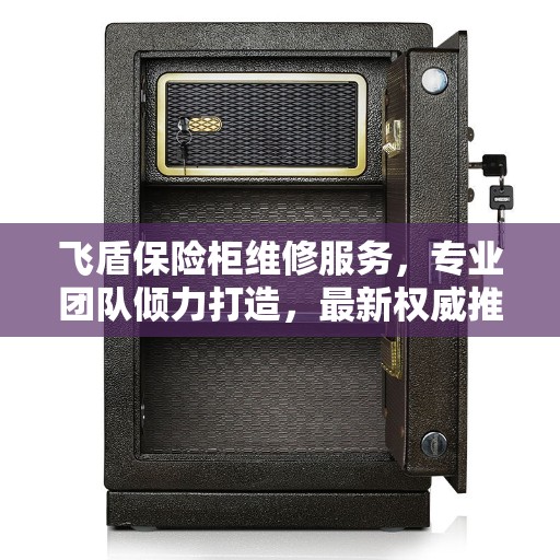 飞盾保险柜维修服务，专业团队倾力打造，最新权威推荐解决方案
