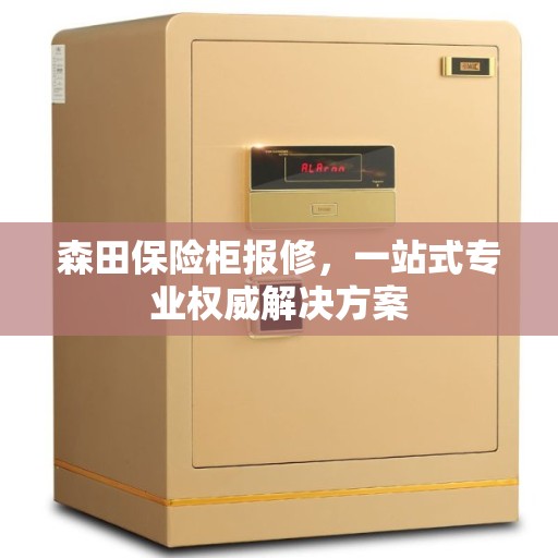 森田保险柜报修，一站式专业权威解决方案