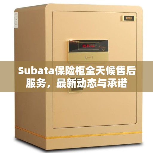Subata保险柜全天候售后服务，最新动态与承诺