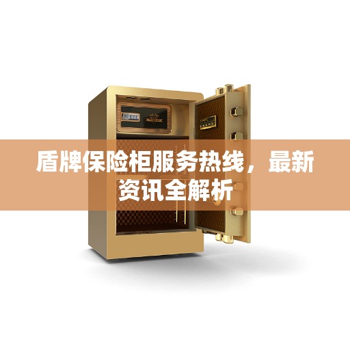 盾牌保险柜服务热线，最新资讯全解析