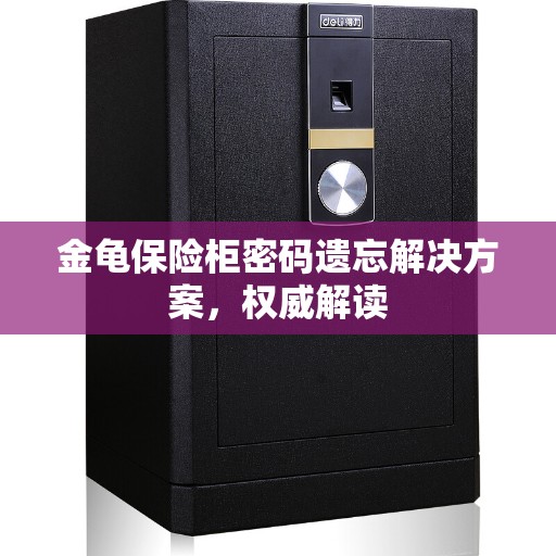 金龟保险柜密码遗忘解决方案，权威解读