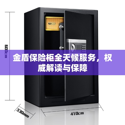 金盾保险柜全天候服务，权威解读与保障