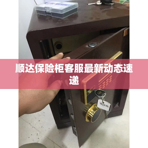 顺达保险柜客服最新动态速递