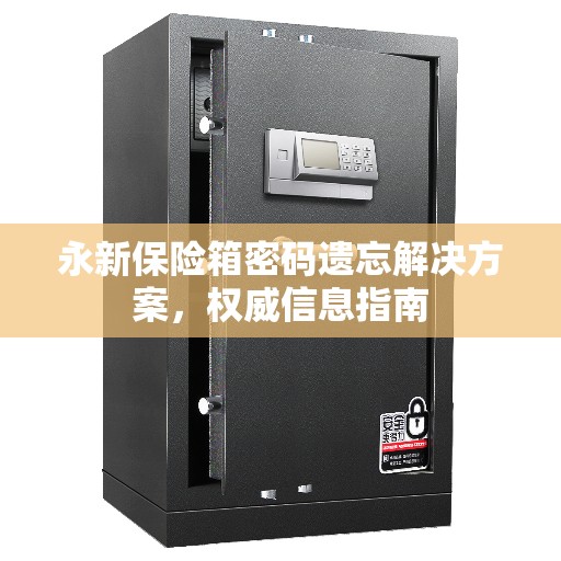 永新保险箱密码遗忘解决方案，权威信息指南