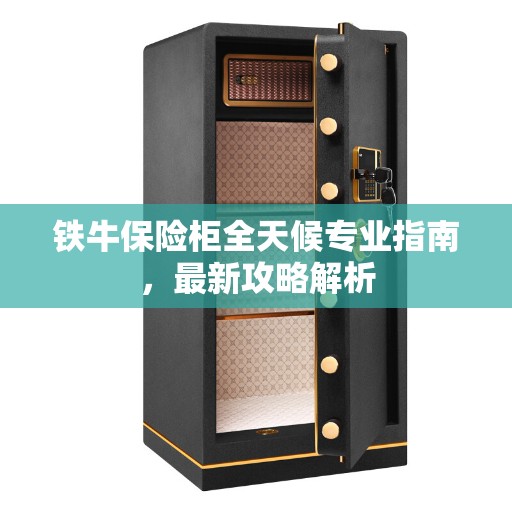 铁牛保险柜全天候专业指南，最新攻略解析