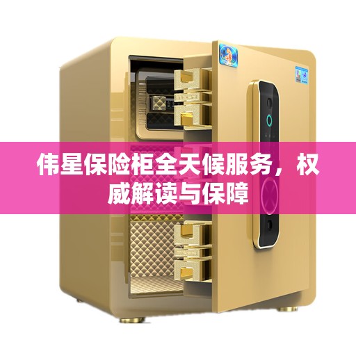 伟星保险柜全天候服务，权威解读与保障