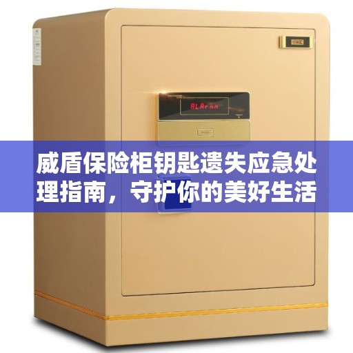威盾保险柜钥匙遗失应急处理指南，守护你的美好生活不失锁