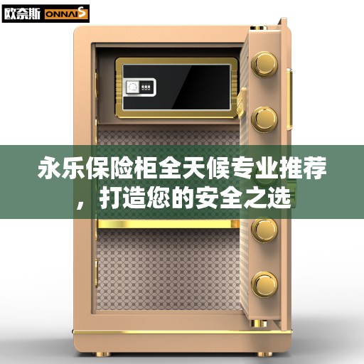 永乐保险柜全天候专业推荐，打造您的安全之选