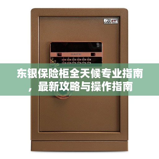 东银保险柜全天候专业指南，最新攻略与操作指南