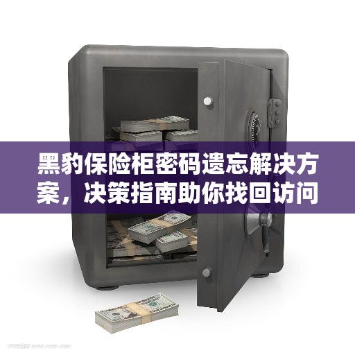 黑豹保险柜密码遗忘解决方案，决策指南助你找回访问权限