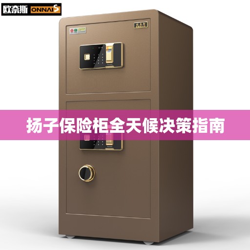 扬子保险柜全天候决策指南