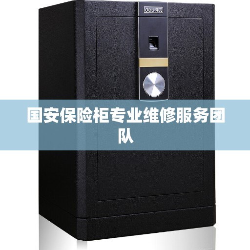 国安保险柜专业维修服务团队