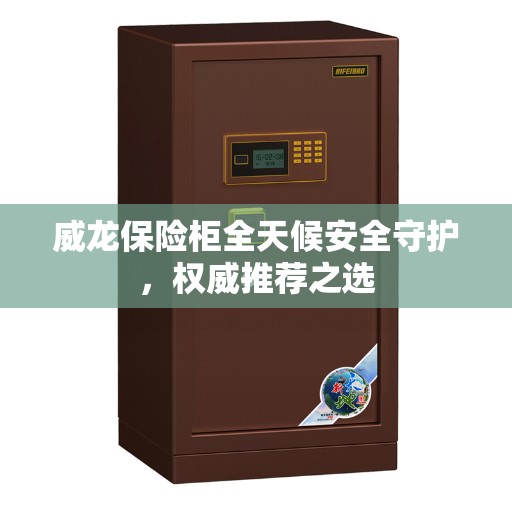 威龙保险柜全天候安全守护，权威推荐之选