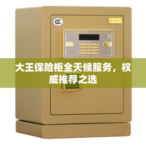 大王保险柜全天候服务，权威推荐之选