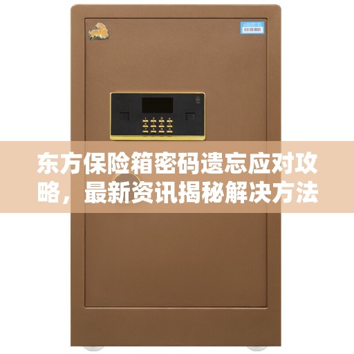 东方保险箱密码遗忘应对攻略，最新资讯揭秘解决方法