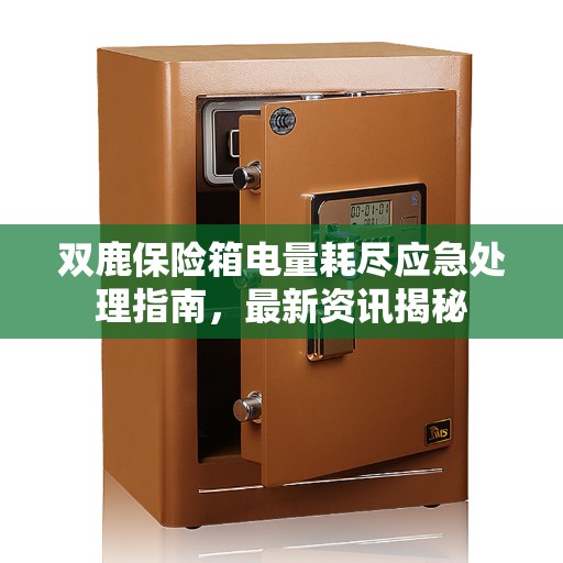 双鹿保险箱电量耗尽应急处理指南，最新资讯揭秘