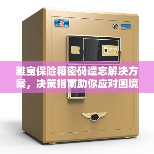 雅宝保险箱密码遗忘解决方案，决策指南助你应对困境