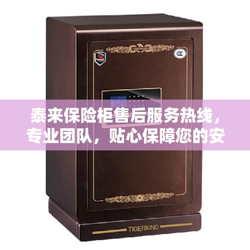 泰来保险柜售后服务热线，专业团队，贴心保障您的安全与信赖