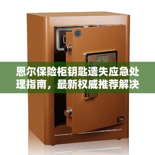 恩尔保险柜钥匙遗失应急处理指南，最新权威推荐解决方案