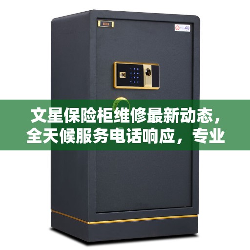 文星保险柜维修最新动态，全天候服务电话响应，专业维修保障您的安全需求
