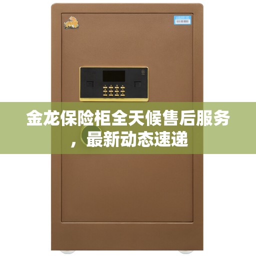 金龙保险柜全天候售后服务，最新动态速递