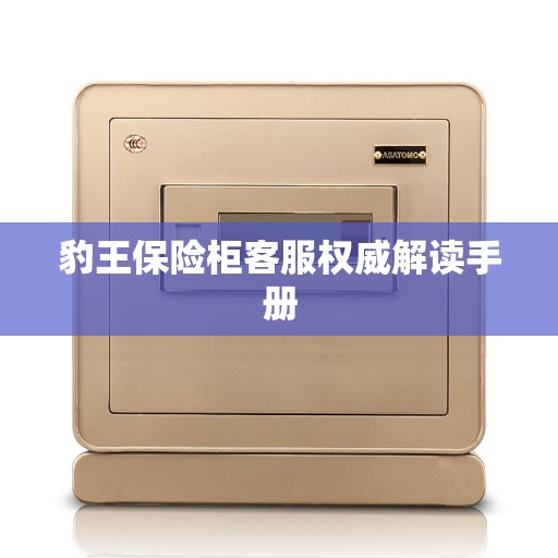 豹王保险柜客服权威解读手册