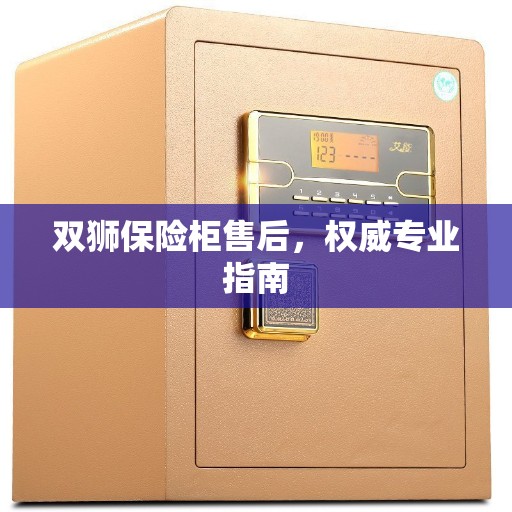 双狮保险柜售后，权威专业指南