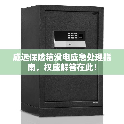 威远保险箱没电应急处理指南，权威解答在此！