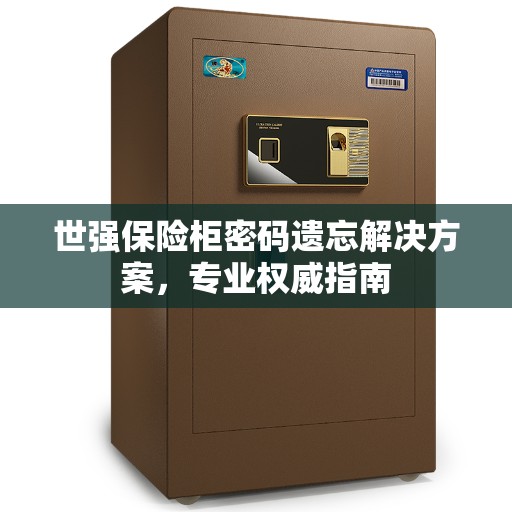 世强保险柜密码遗忘解决方案，专业权威指南