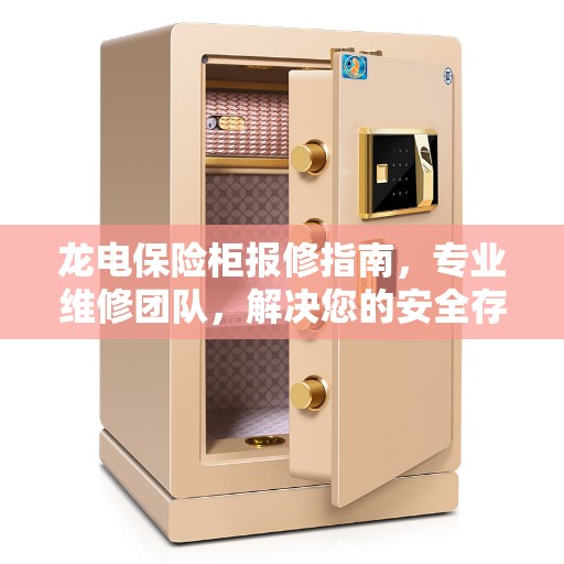 龙电保险柜报修指南，专业维修团队，解决您的安全存储问题