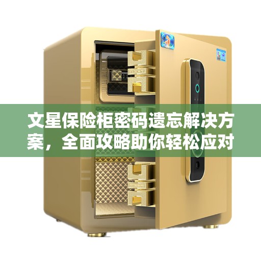 文星保险柜密码遗忘解决方案，全面攻略助你轻松应对