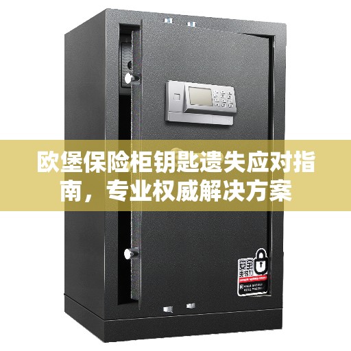 欧堡保险柜钥匙遗失应对指南，专业权威解决方案