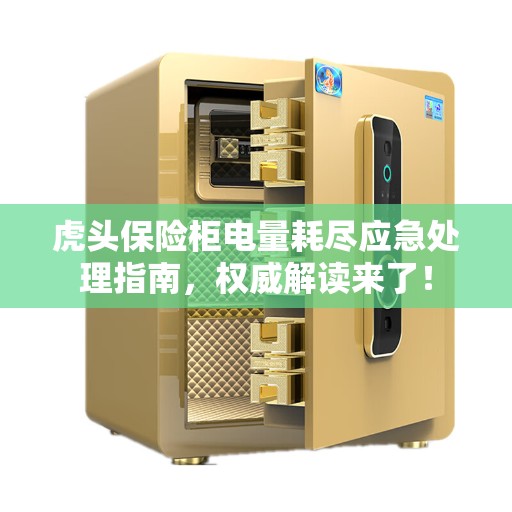 虎头保险柜电量耗尽应急处理指南，权威解读来了！