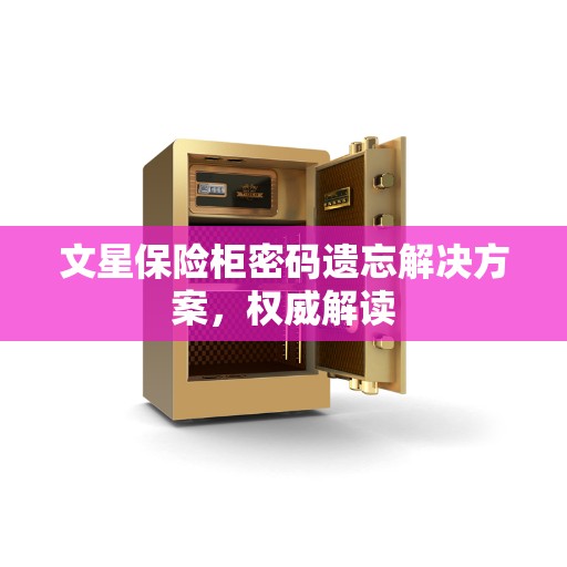 文星保险柜密码遗忘解决方案，权威解读