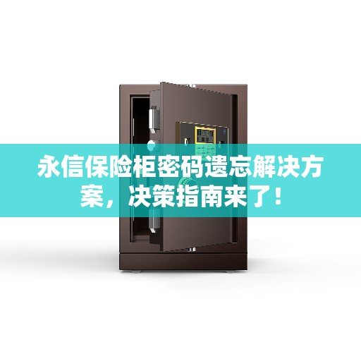 永信保险柜密码遗忘解决方案，决策指南来了！