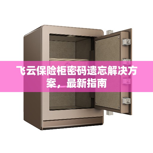 飞云保险柜密码遗忘解决方案，最新指南