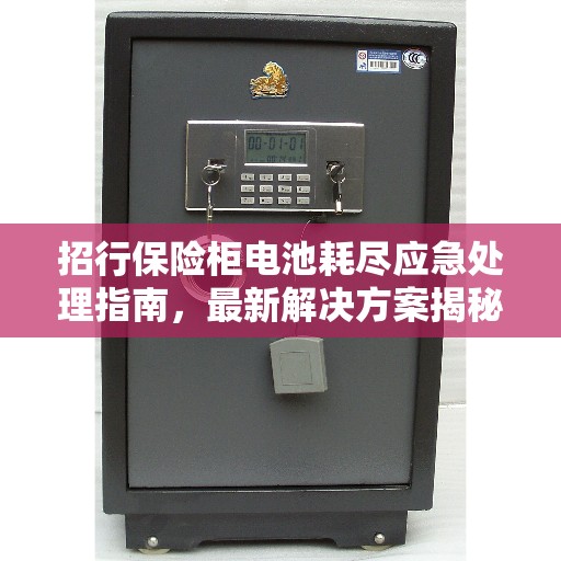 招行保险柜电池耗尽应急处理指南,最新解决方案揭秘 招行保险柜电池耗尽应急处理指南,最新解决方案揭秘