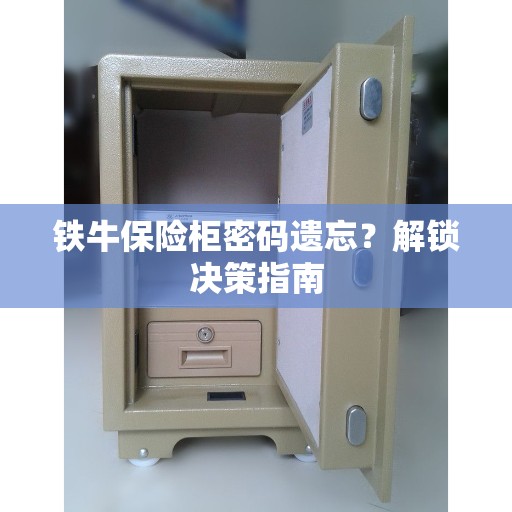 铁牛保险柜密码遗忘？解锁决策指南