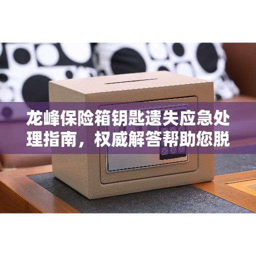 龙峰保险箱钥匙遗失应急处理指南，权威解答帮助您脱困！